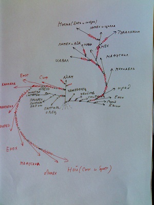 Допотопное дерево Адама.jpg